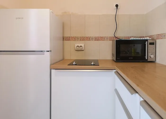 Filinhome Papa Suite 4